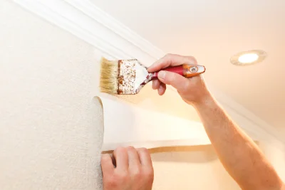 Pose de papier peint à Veyreau — revêtements muraux et toiles de verre